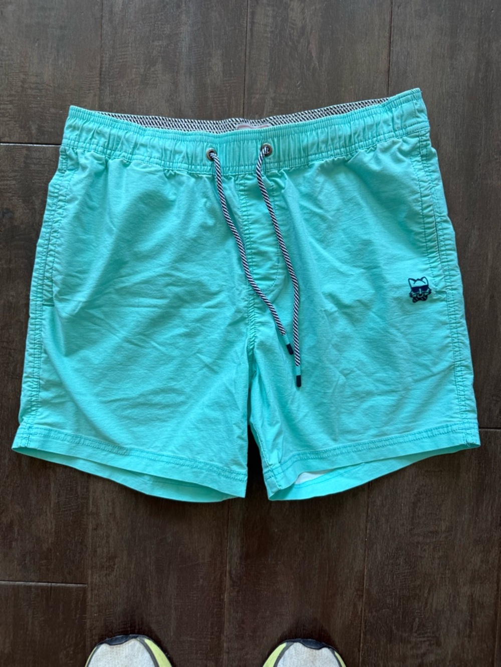 Party Pants Men’s Solid Vintage Volley Swim Shorts Mint Green Size M